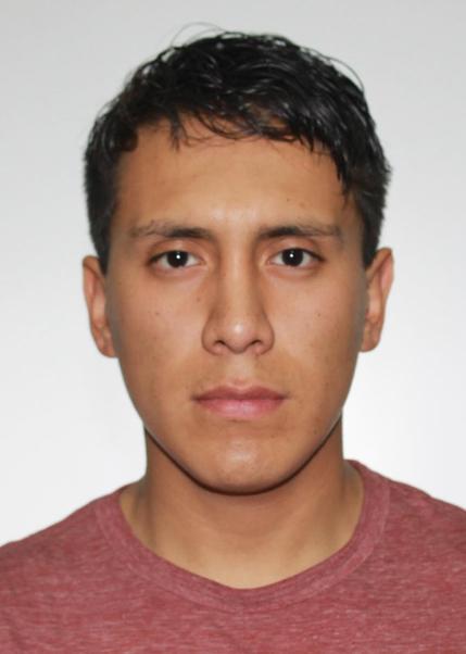 Leonidas enmanuel medina ancasi