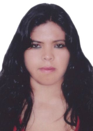 Lizet vanessa higinio morote de sarmiento