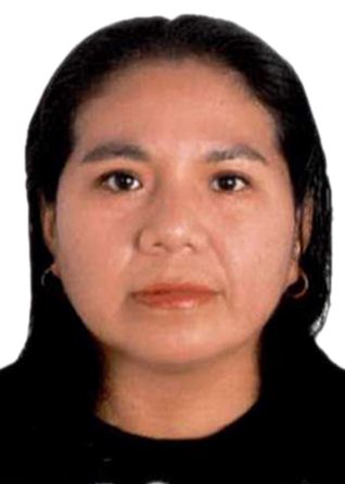 Llanina Del Carmen Condori Pardo