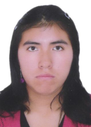 Lucero beatriz huamancaja castillo