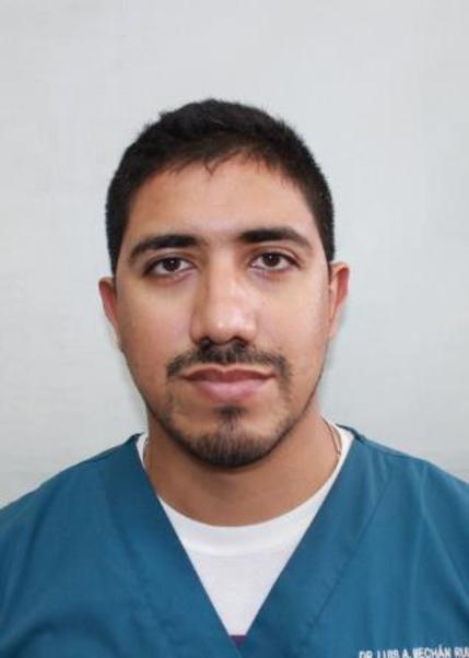 Luis Alberto Mechan Ruiz