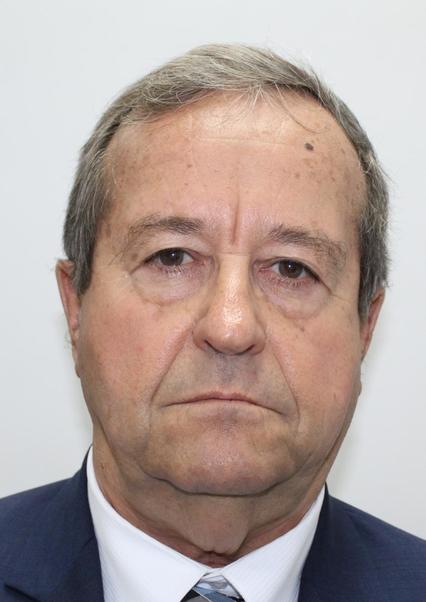 Luis Alfonso Molina Arles