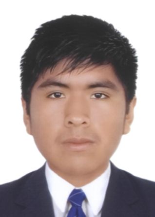 Luis amilcar carlos condori