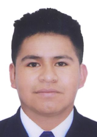 Luis Nestor Arque Huanco