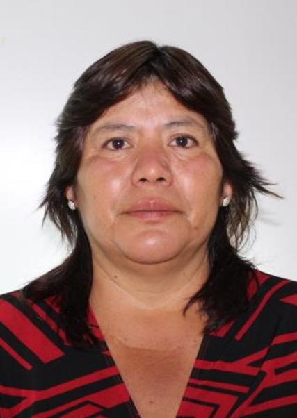 Lupe Elisa Salinas Figueroa