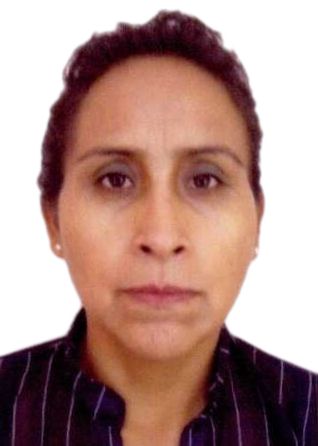 Luz amanda valdez romani