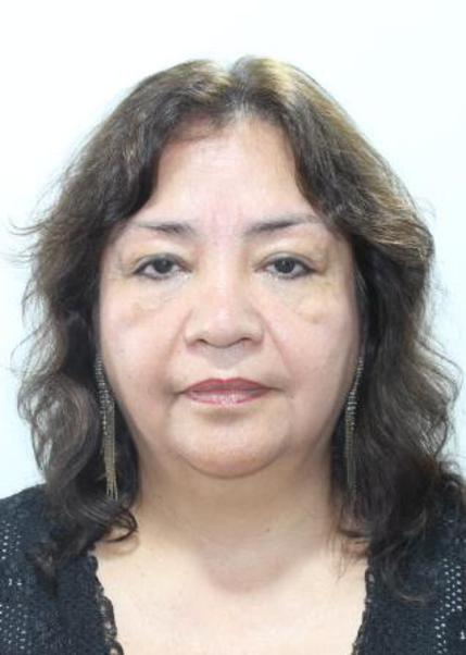 Luz amelia dominguez diaz