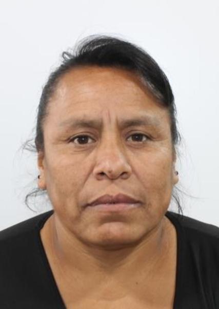 Luz angelica colchado estrada