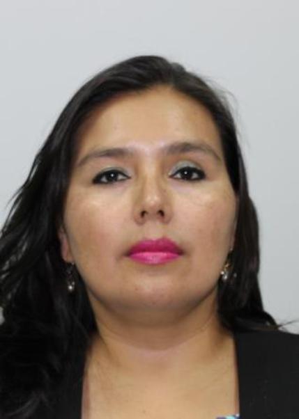 Luz edith mamani castaÑeda