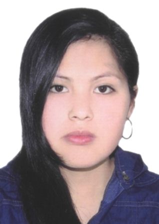 Luz huaraka mendoza