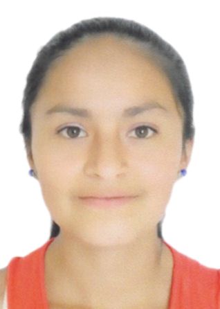 Luz mery torres saucedo