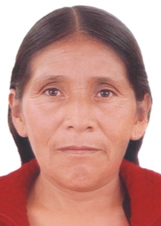 Marcela sumaran polinar
