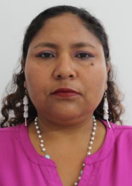 Marcela teodora valdivia machado