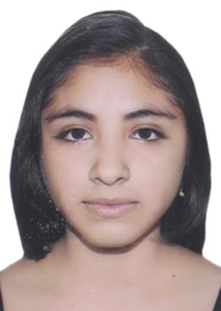 Maria De Los Angeles Bardales AcuÑa