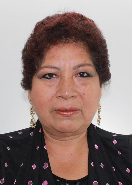 MarÍa Del Rosario Bulnes Bobadilla