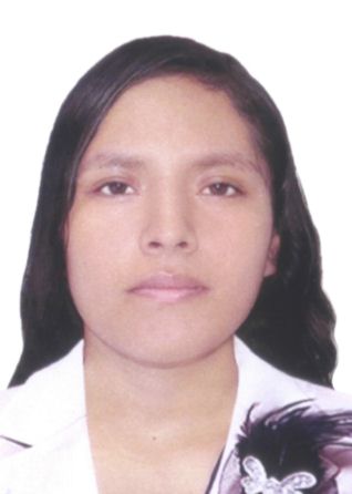 Maria elena tolentino arostegui