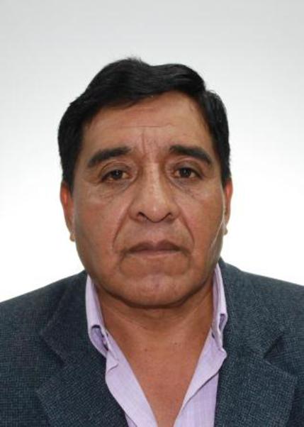 Mario pablo hanco leon