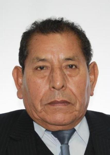 Martin Alberto Sisa Llerena