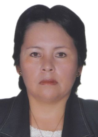 Mercedes ochoa remon
