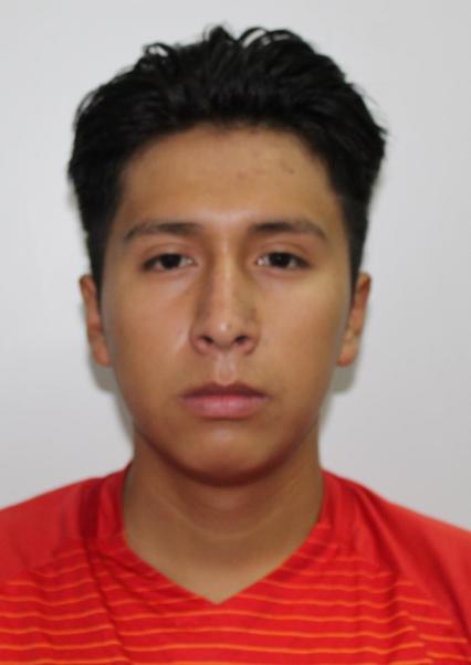 Michael Brandy Guardia Acapana