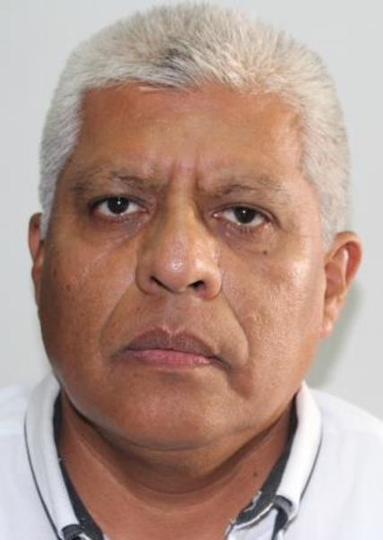 Miguel Angel Palomino Jauregui