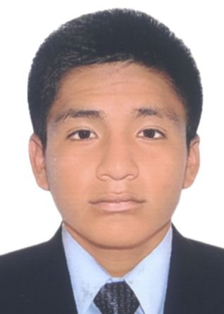 Mikol Andy Araujo Huancas