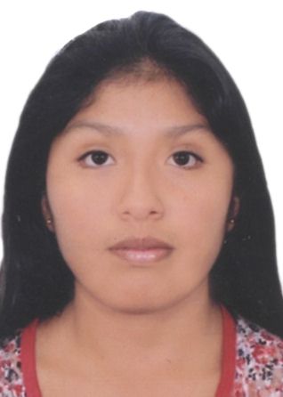 Milagros Del Rosario Castro Adrianzen