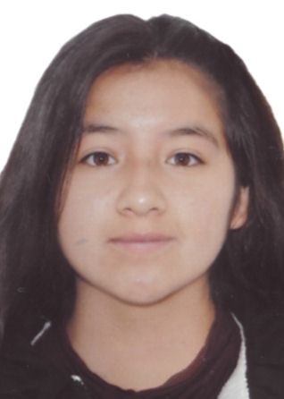 Milagros estelita linares merlo