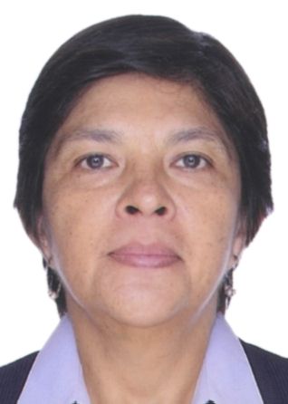 Miriam Del Carmen Castillo Curay De Negrini