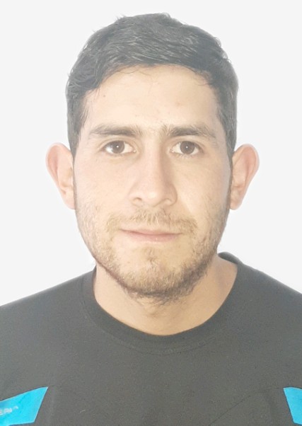 Mirko Albert Dominguez Tello