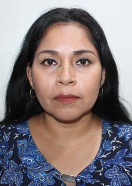 Monica Giovanna Flores SaldaÑa