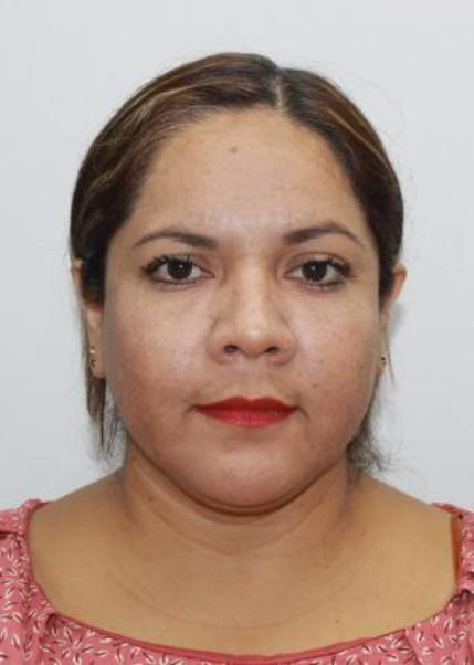 Monica paola sanchez minchola