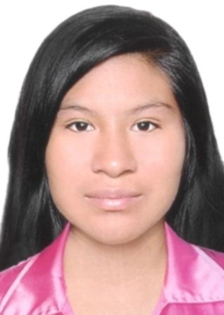 Nelida ramos mamani