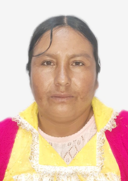 Nilda estela ascayo leon