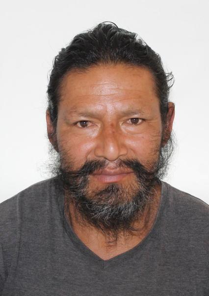 Pedro alejandro huaman guiop