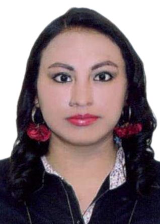 Pilar lourdes barrios baldeon