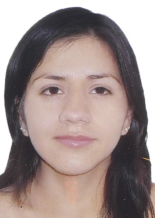 Pilar milagros vela aguirre