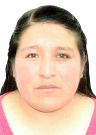 Reyna Dina QuiÑones Taipe