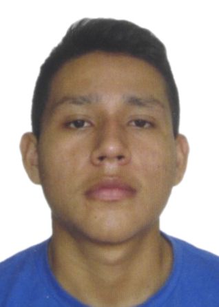Ricardo Gonzales Flores