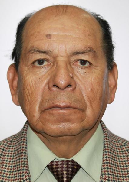 Roberto nieves molina llerena