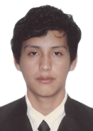 Rogelio Manuel Mata Ramirez