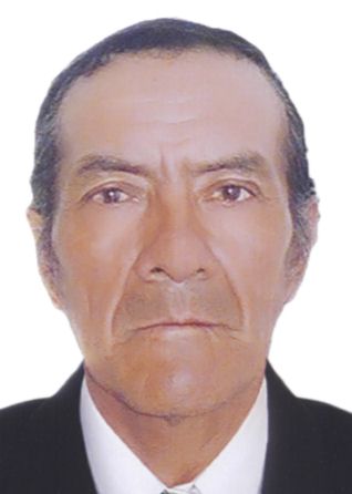 Romulo Julio Bustos Llanca