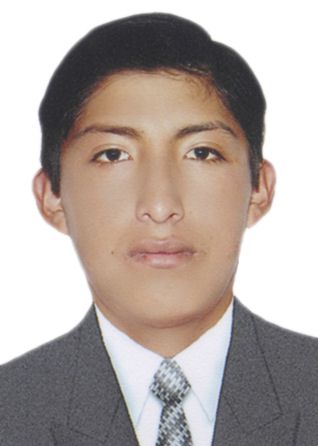 Ronny Rafael Barra Choque