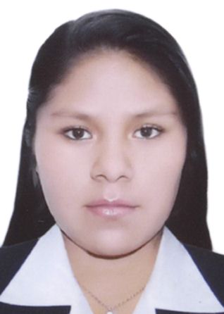 Rosa mamani quenaya