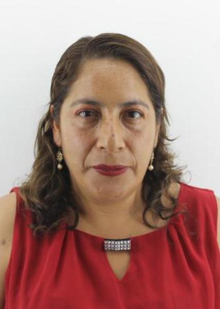 Rosa yojany holguin campos