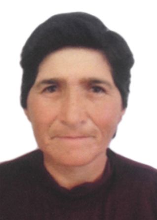 Rosanna Marleny Chuquitaype Perez