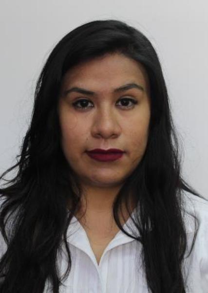 Saira yolanda silvestre argomedo