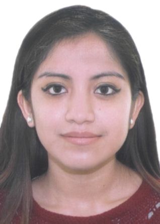 Sandra annie diaz ramirez