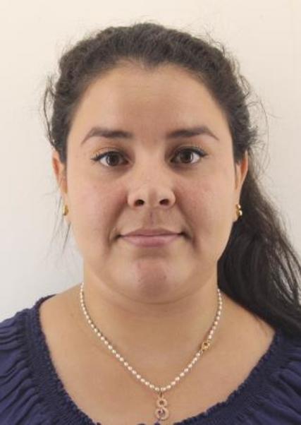 Sandy Veliz Llaguenta