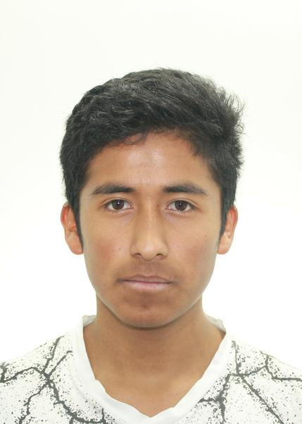 Saul vicente flores figueroa